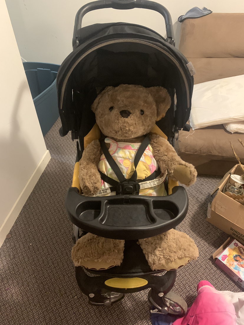 Stroller image indicator(5)