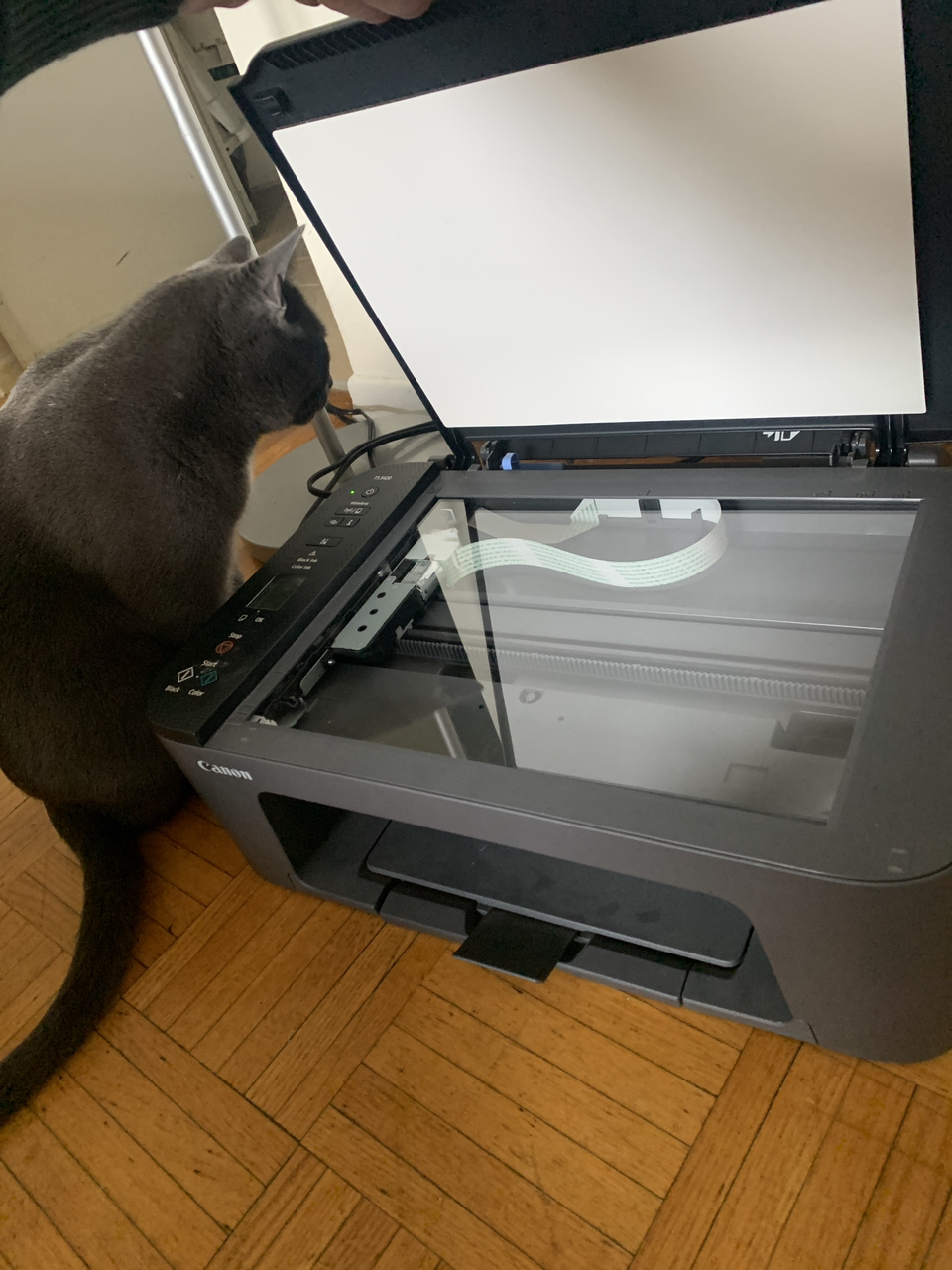 CANON-PIXMA scanner and printer - photo 2
