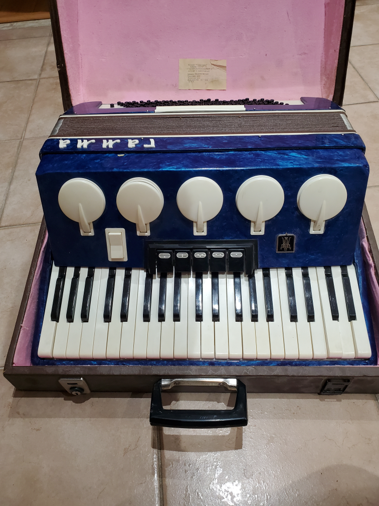 vintage accordion + case