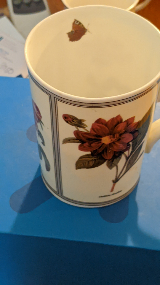 gone china tea mugs image indicator(7)