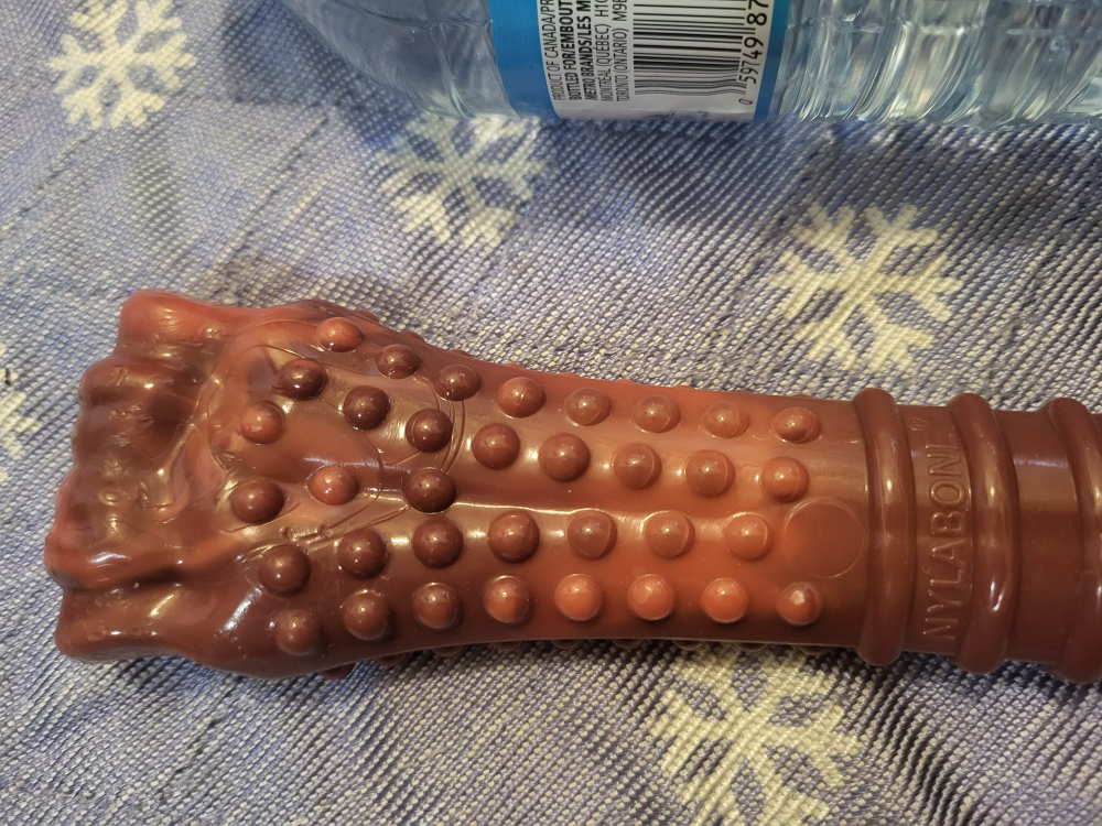 Nylabone Adult Dog Chew Medium to Large dog image indicator(2)