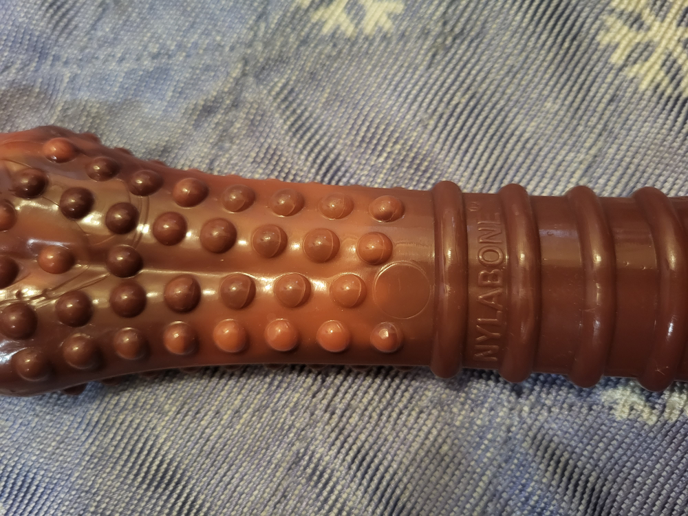 Nylabone Adult Dog Chew Medium to Large dog image indicator(7)