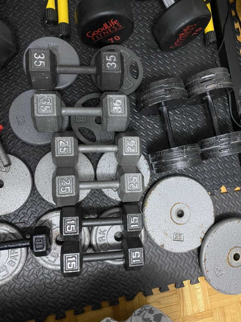 dumbell/weights/barbells