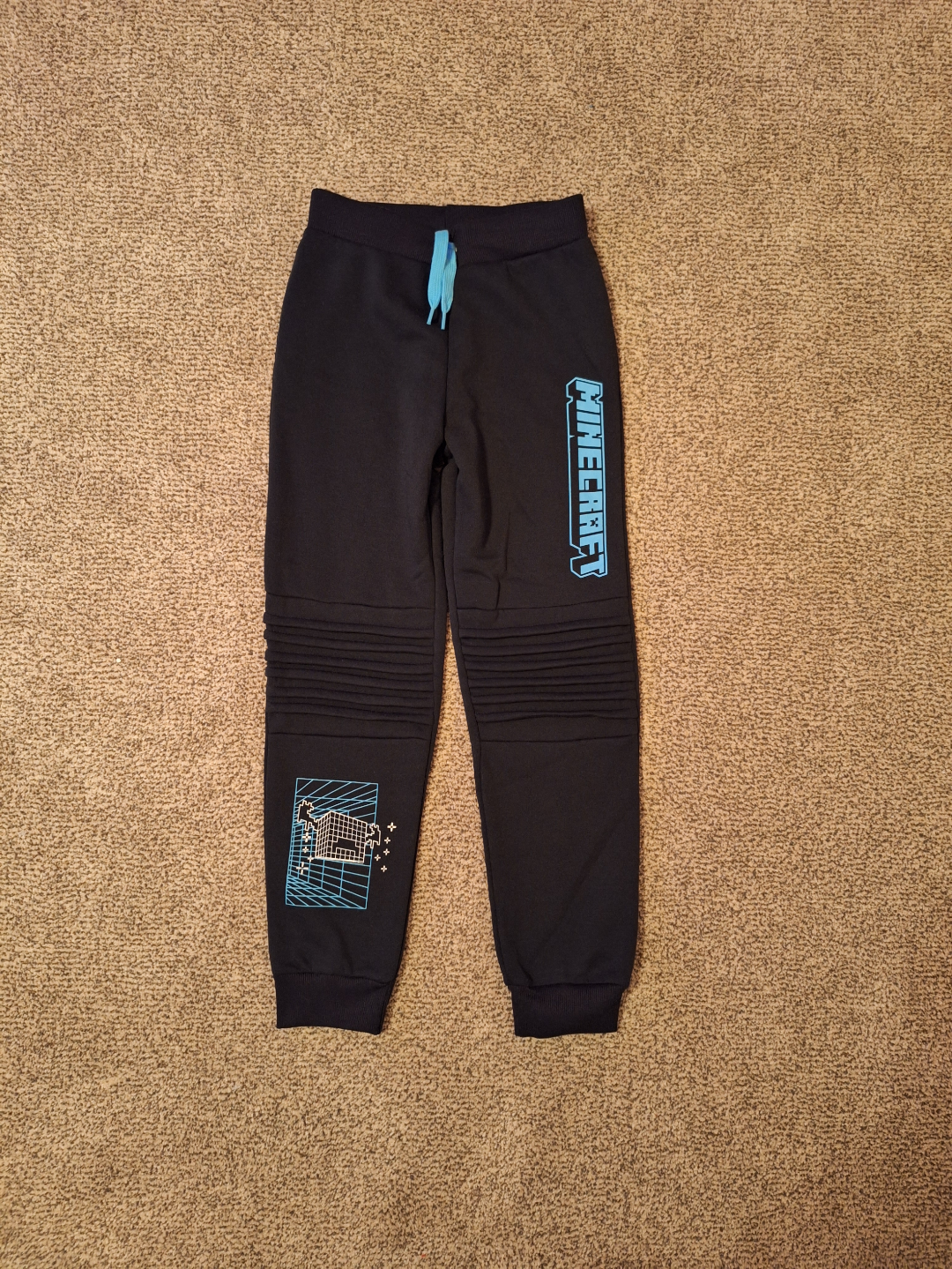 Brand new Minecraft track pants thumbnail
