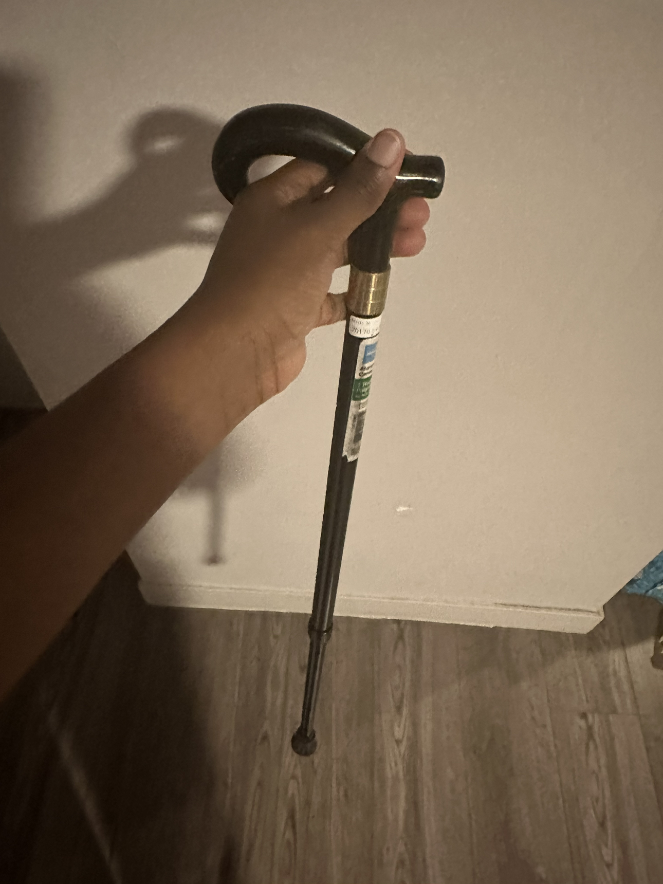 Cane