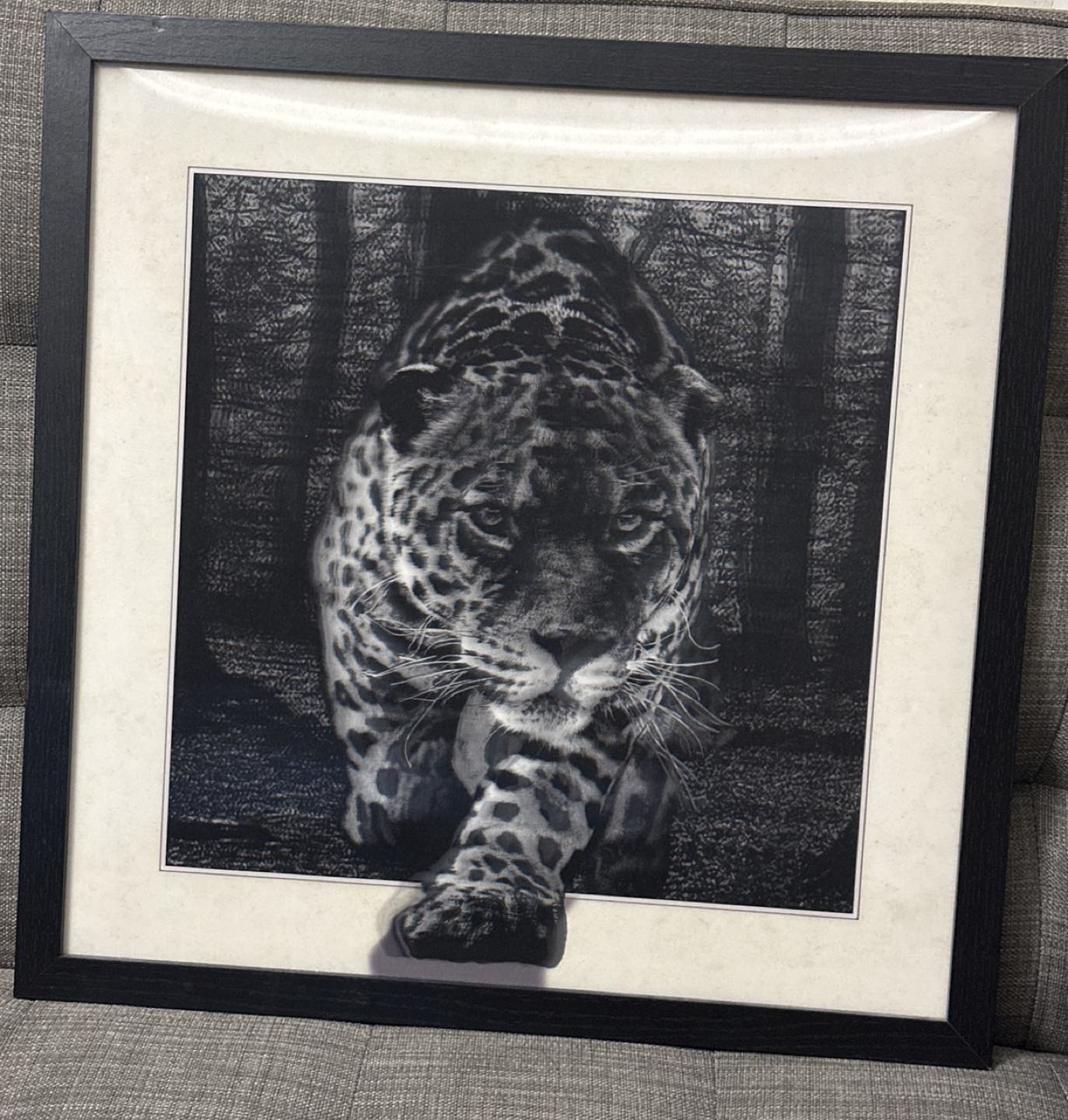 Photo frame.. 3d reflection animal picture..