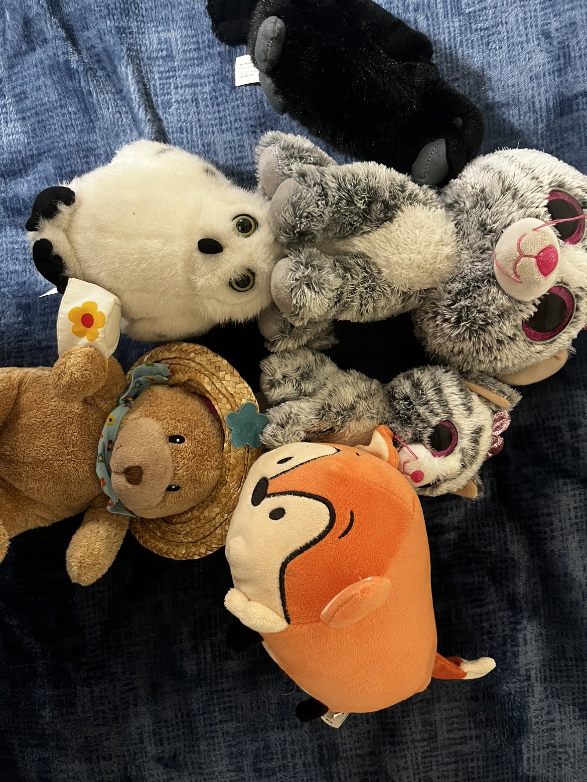 Kids toys