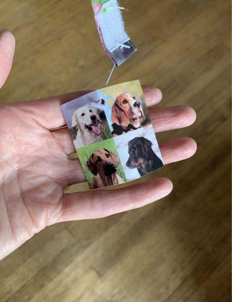 2! Large Beautiful Umbrellas UNUSED Dog theme image indicator(6)