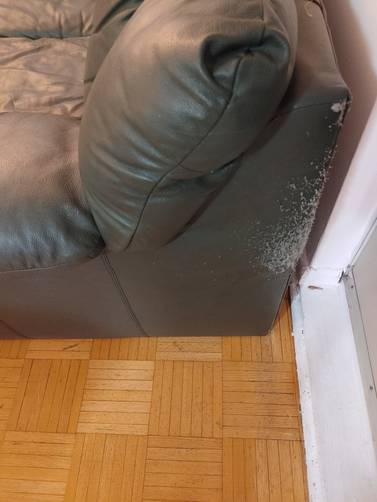 green leather couch - photo 4