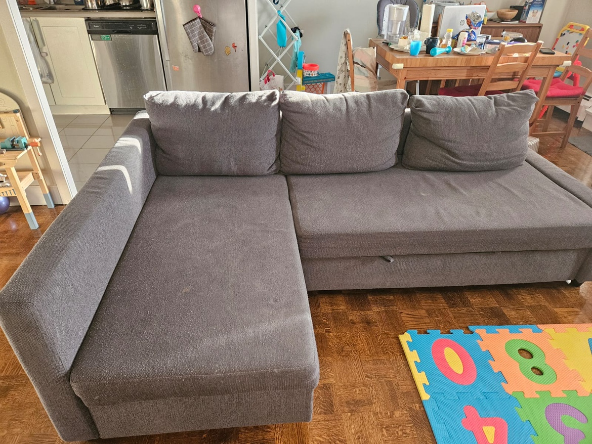 FRIHETEN pull out couch