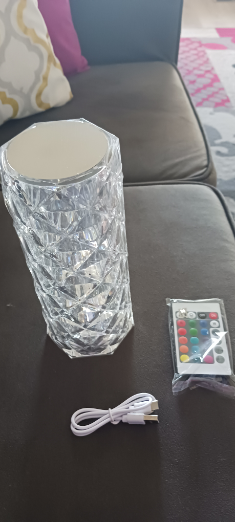 brand New USB charging touch table lamp image indicator(6)