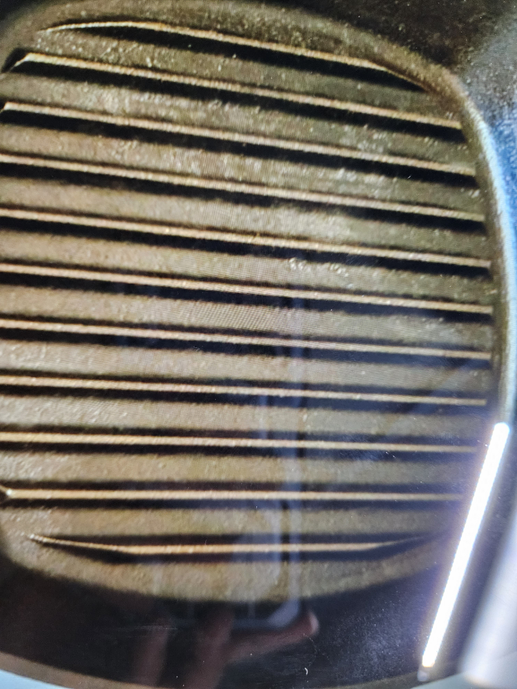 seasoned cast iron grilling pan