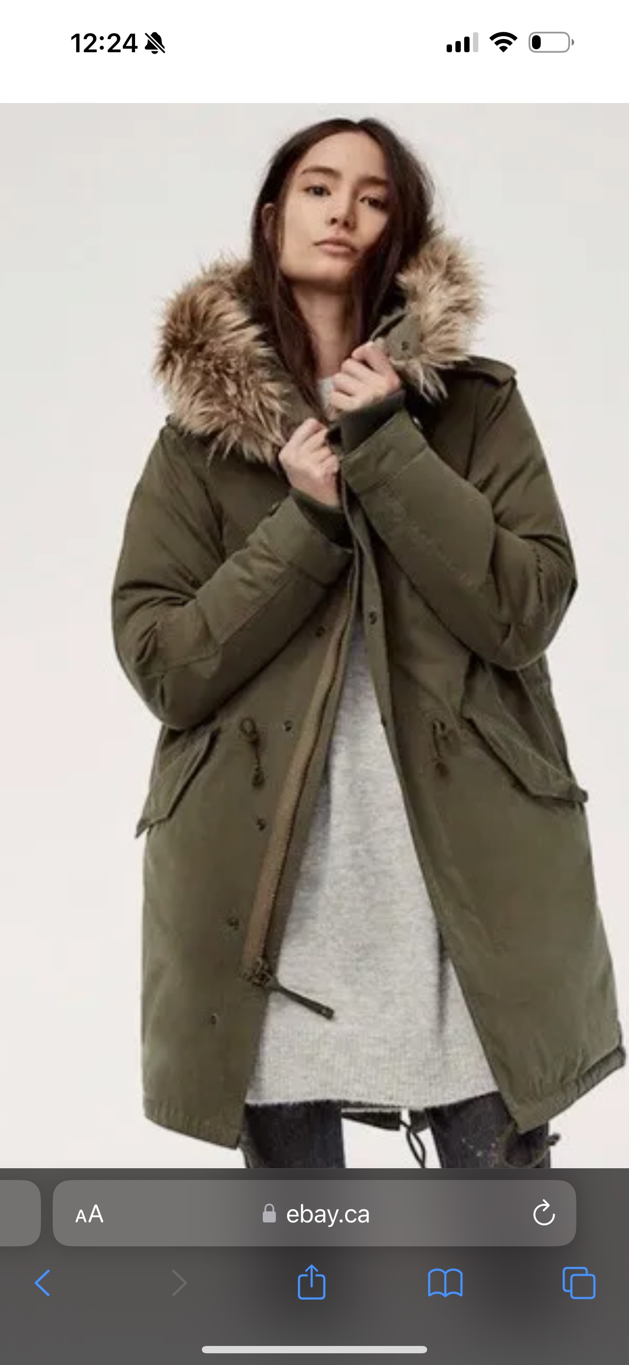 Aritzia Community Vermont Down Parka