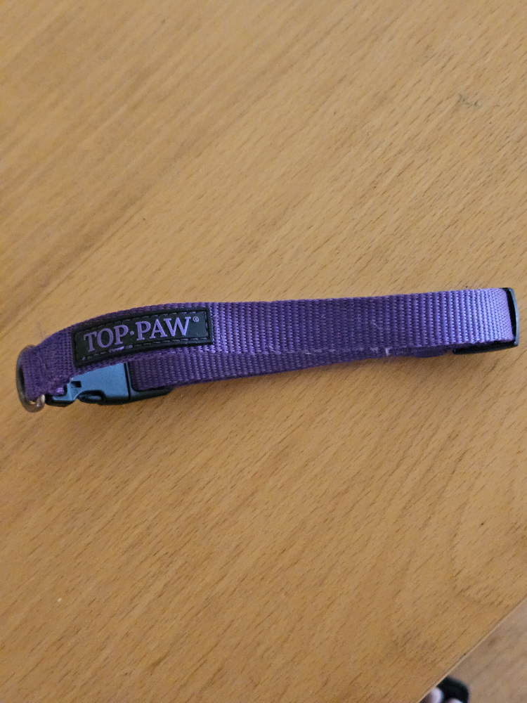 Top Paw Gunmetal Nylon Dog Collar size Small thumbnail