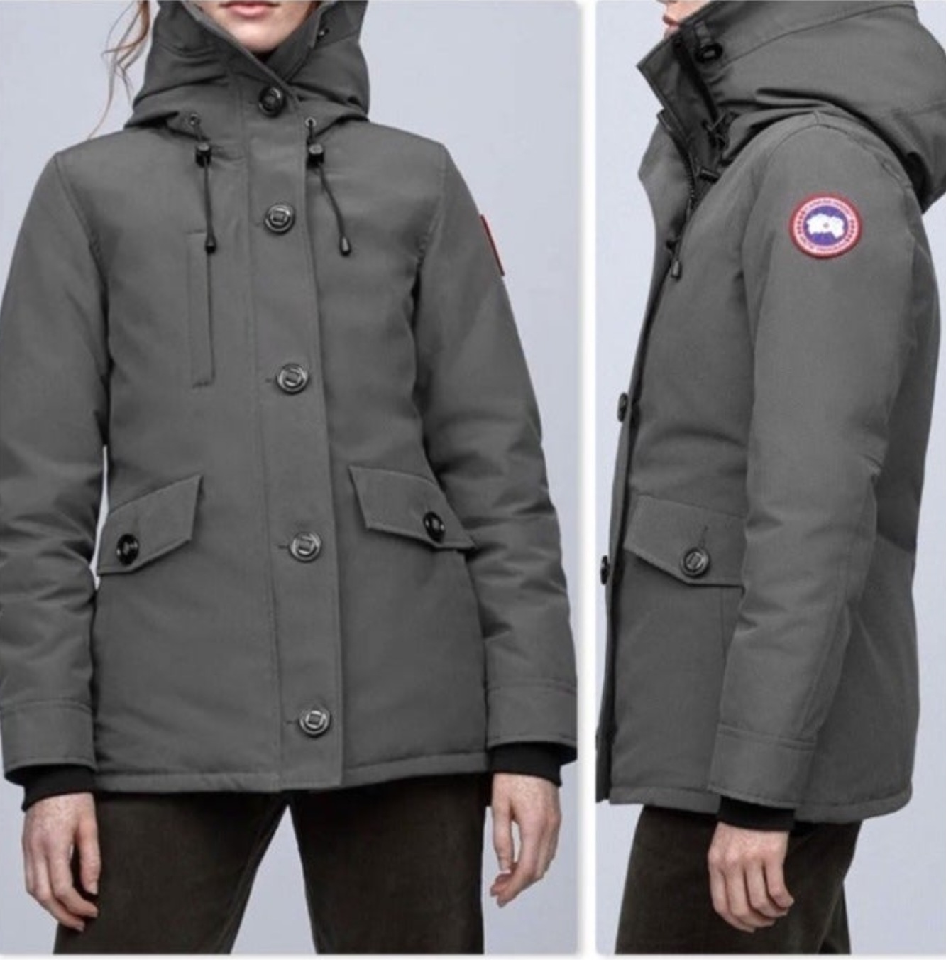 Canada goose thumbnail