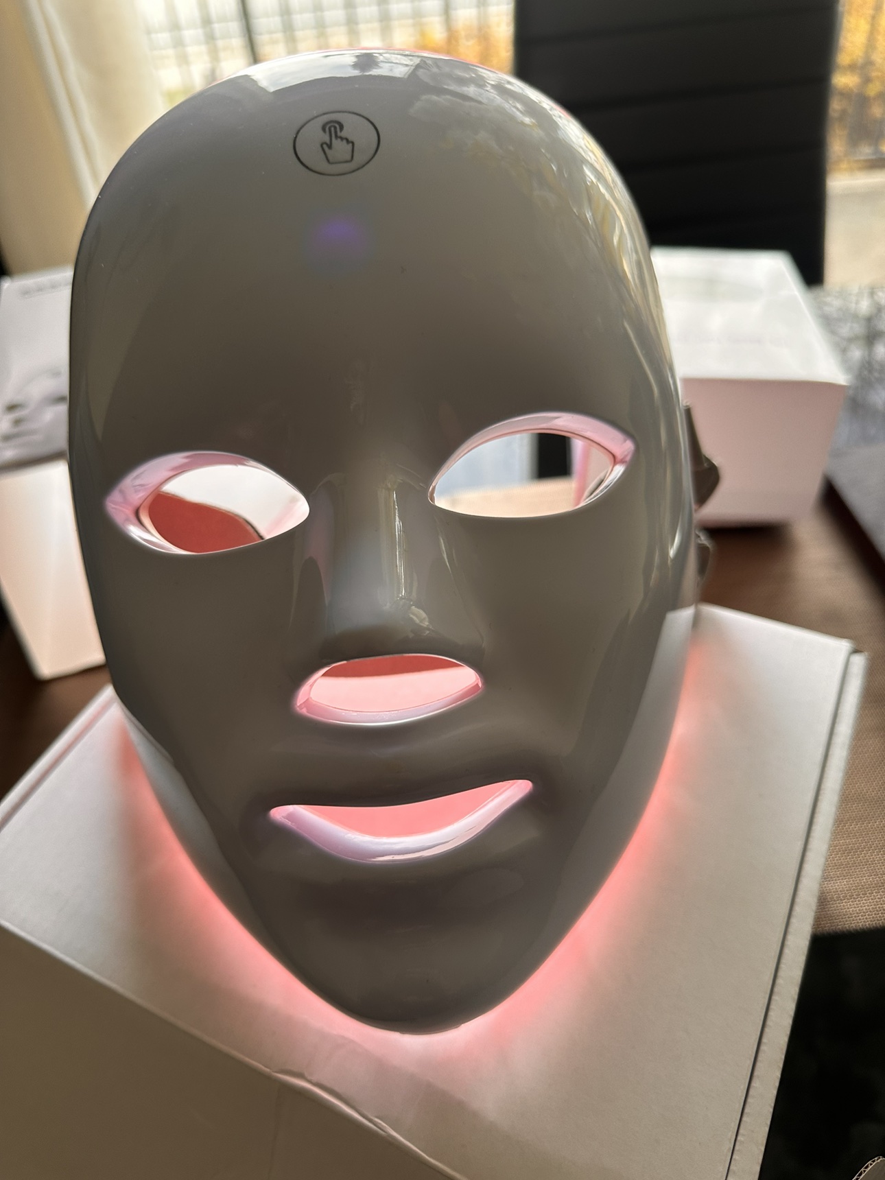 LED Facial Therapy Device