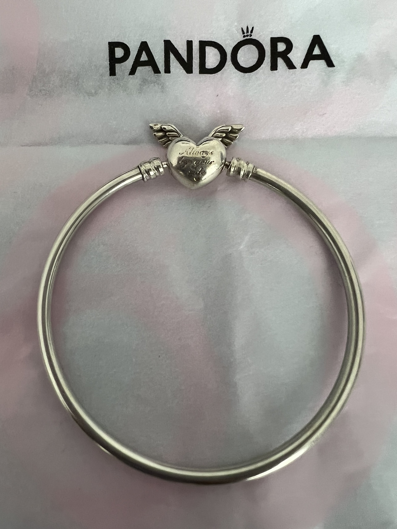 Pandora bracelet thumbnail