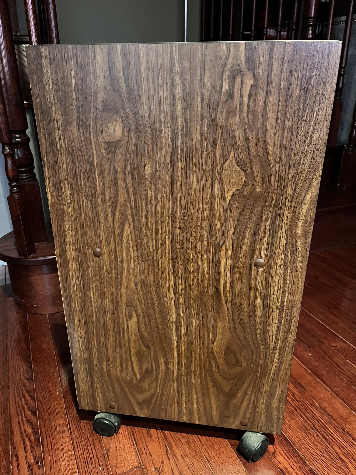 Stereo/Album Cabinet on Wheels ❄️ - photo 4