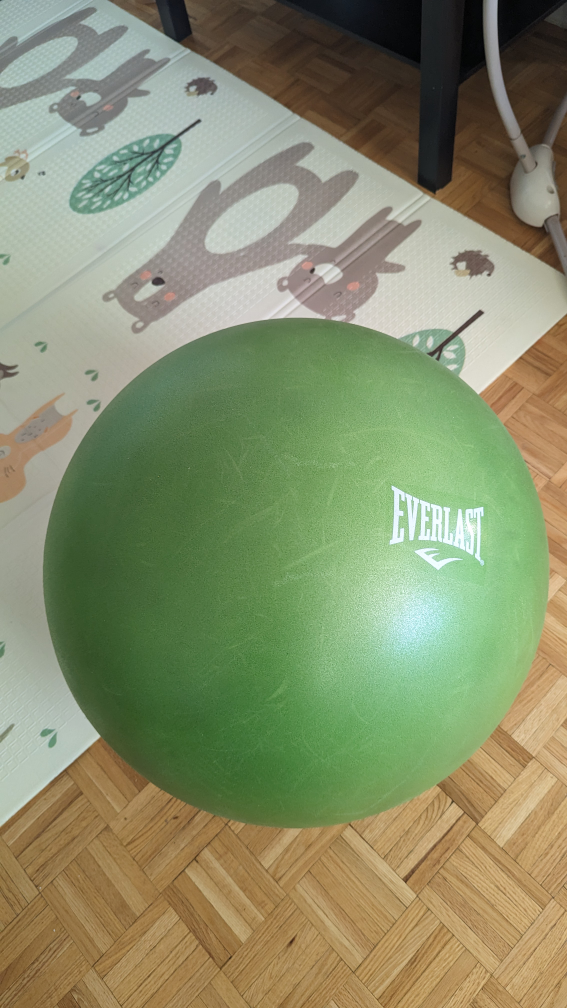 Exercise Ball #freecycle thumbnail