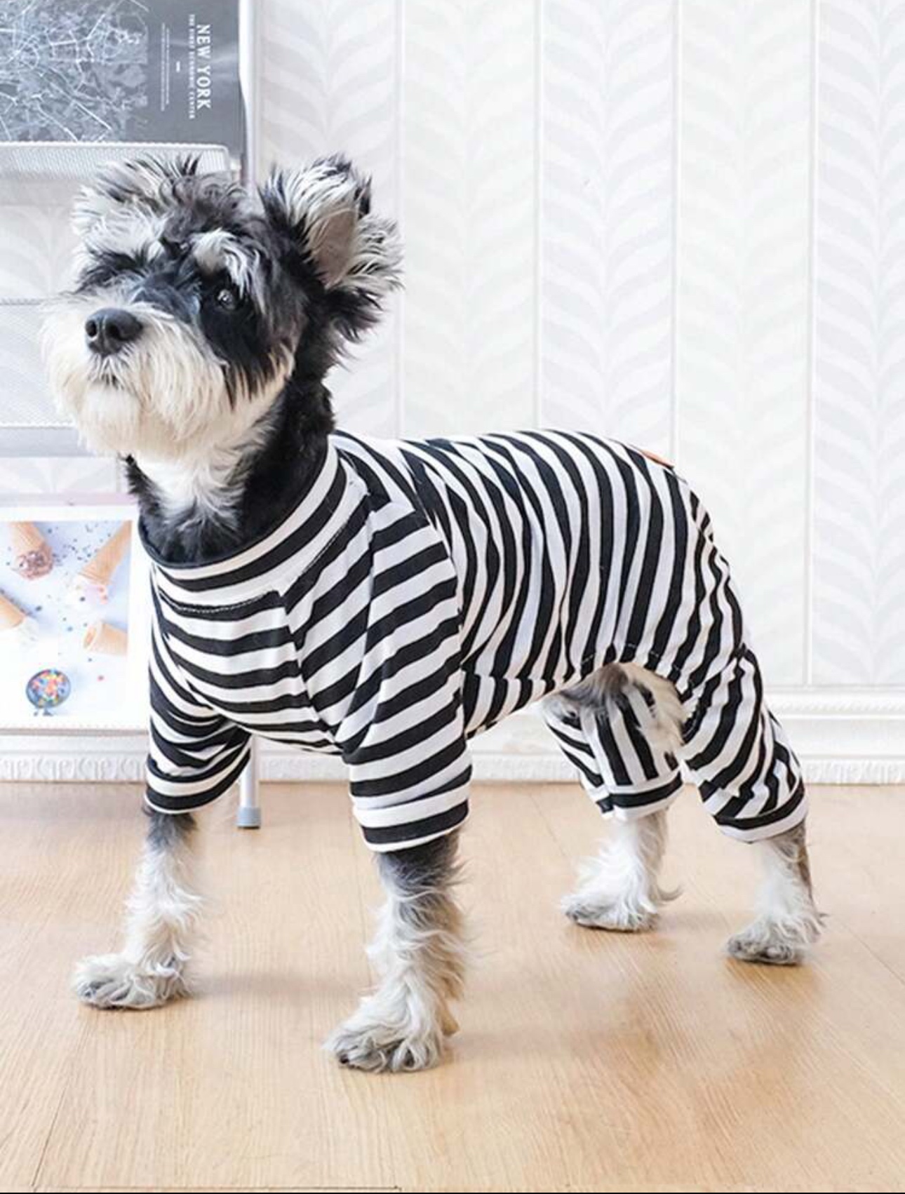 Dog pyjamas 2pcs - photo 3