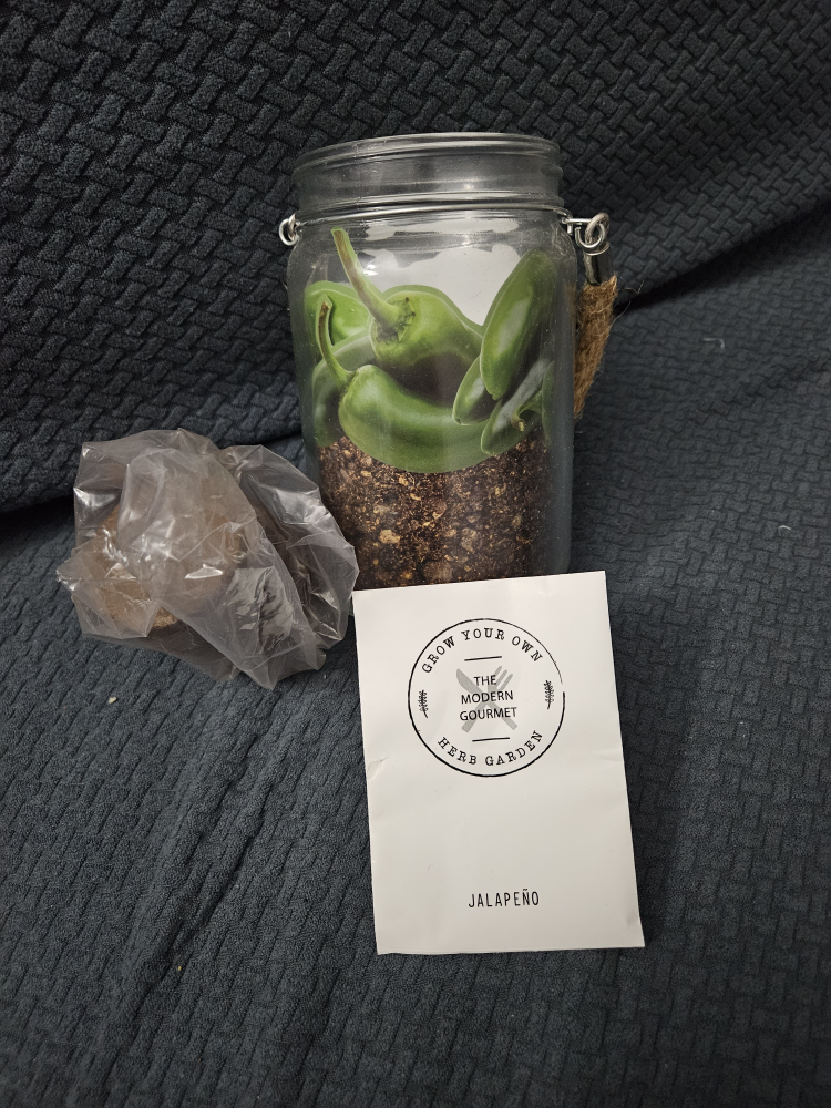 grow your own peppers ❄️