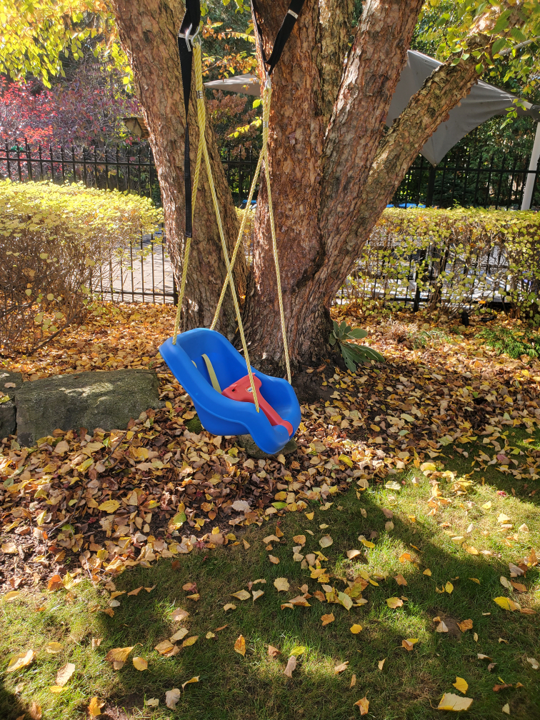 Little Tykes swing