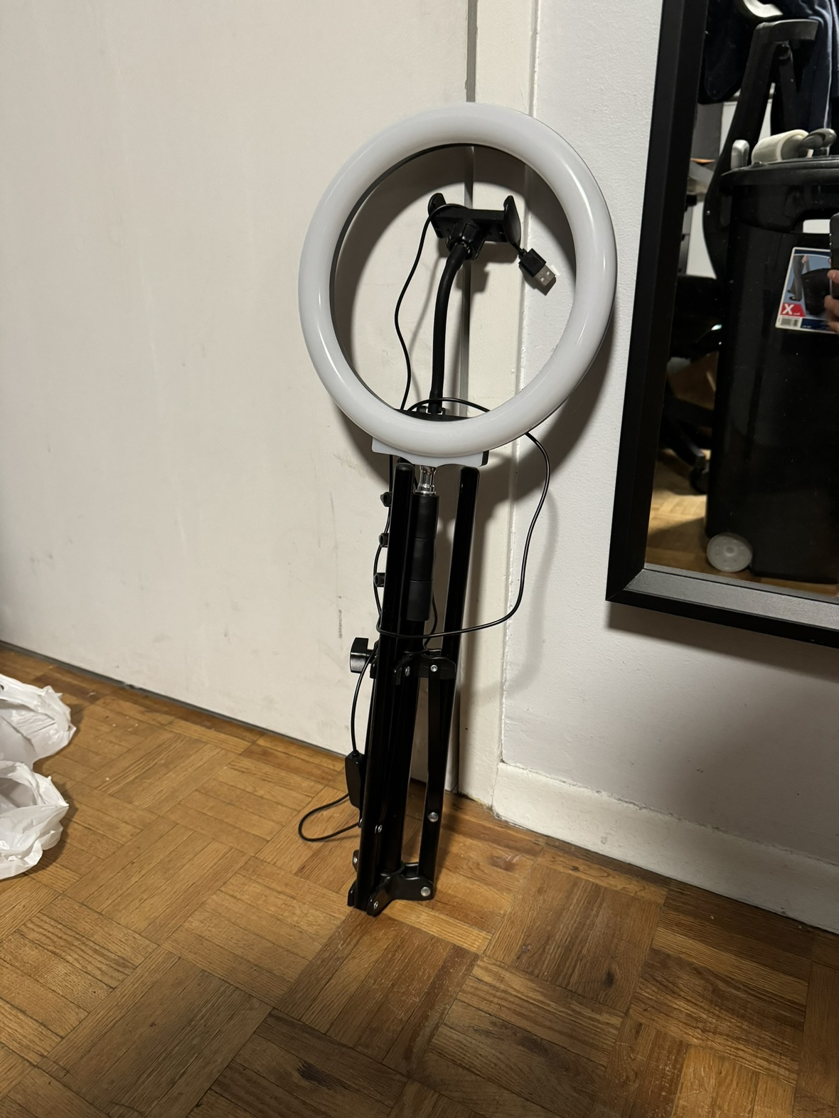 Ring light