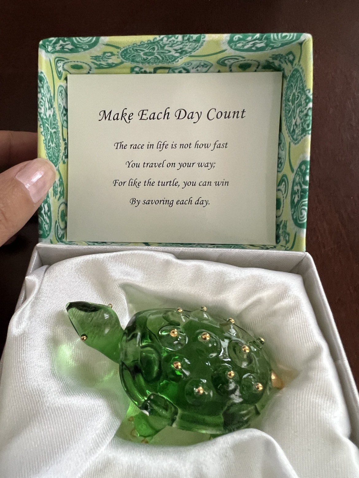 Ornamental Turtle - New image indicator(5)