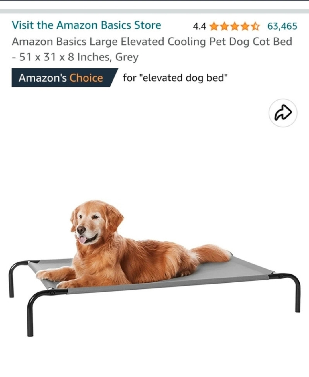 Dog bed thumbnail