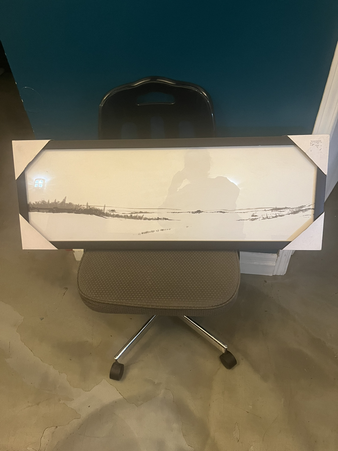 BrandNew Panoramic Framed Artwork