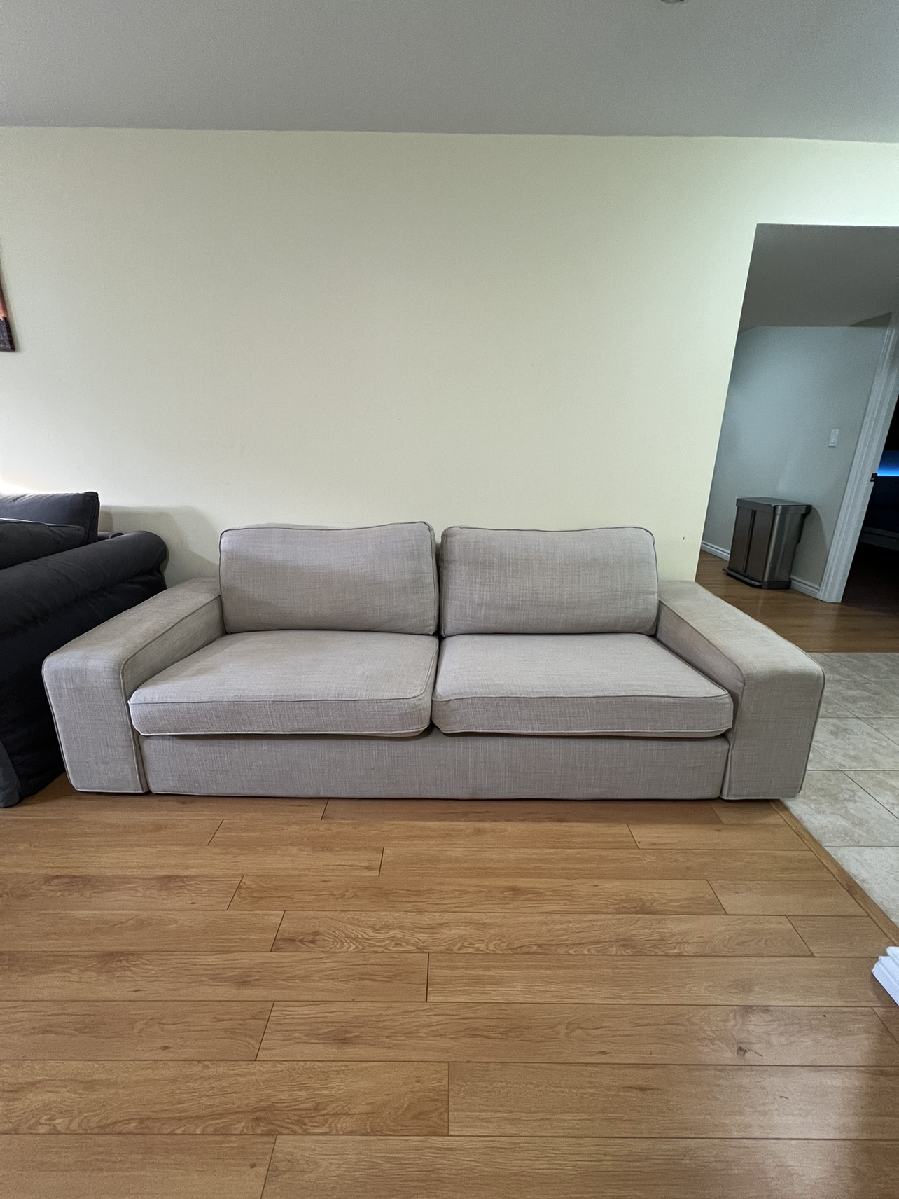 Light couch for the living room great condition