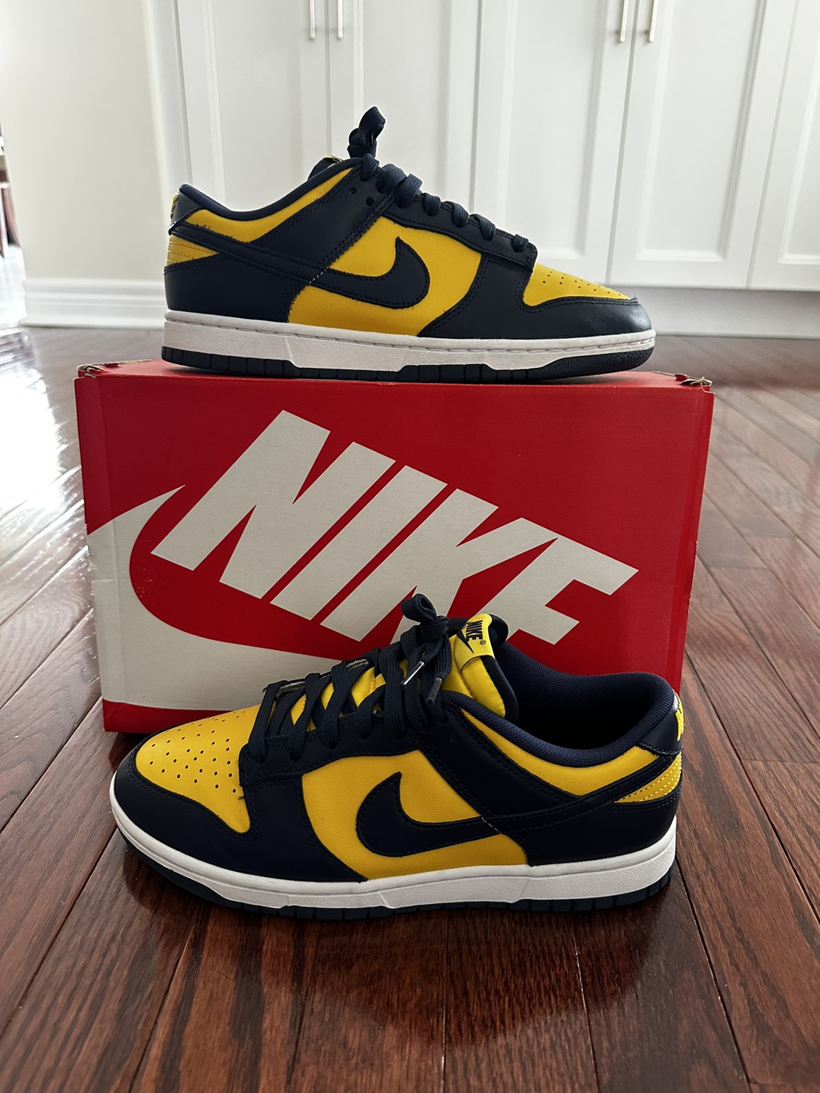 Original Michigan Dunk Lows RECEIPT VNDS 9.5/10