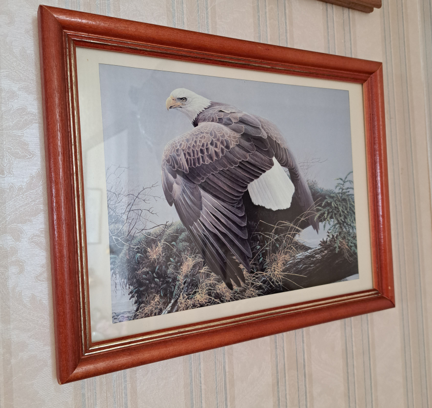 Robert Bateman Artwork 🏒