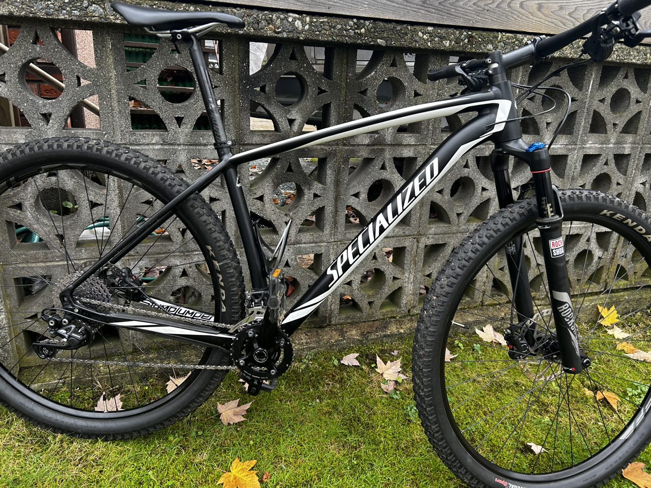 Specialized Stumpjumper 29”