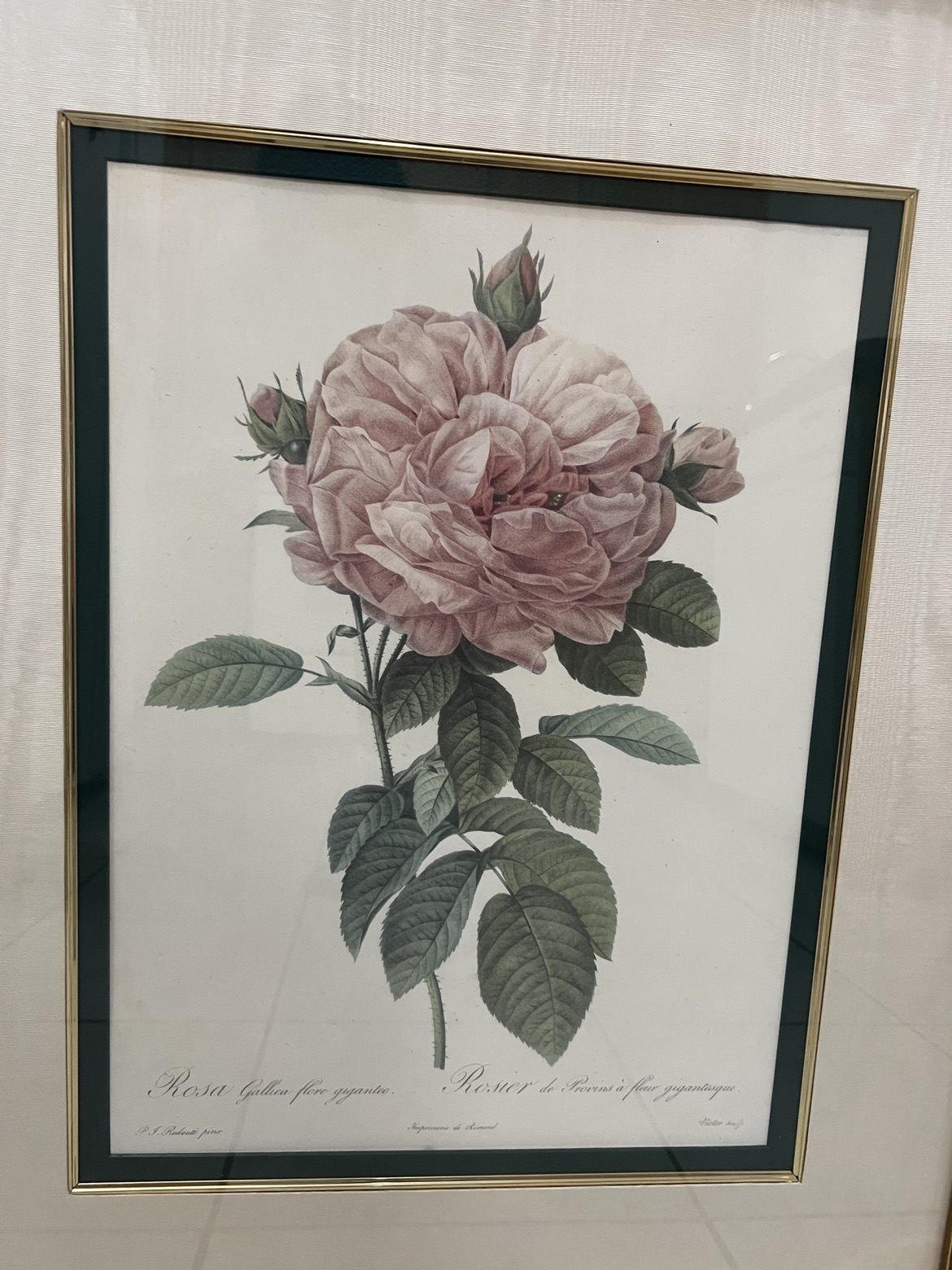 Framed Rose Wall Art image indicator(2)