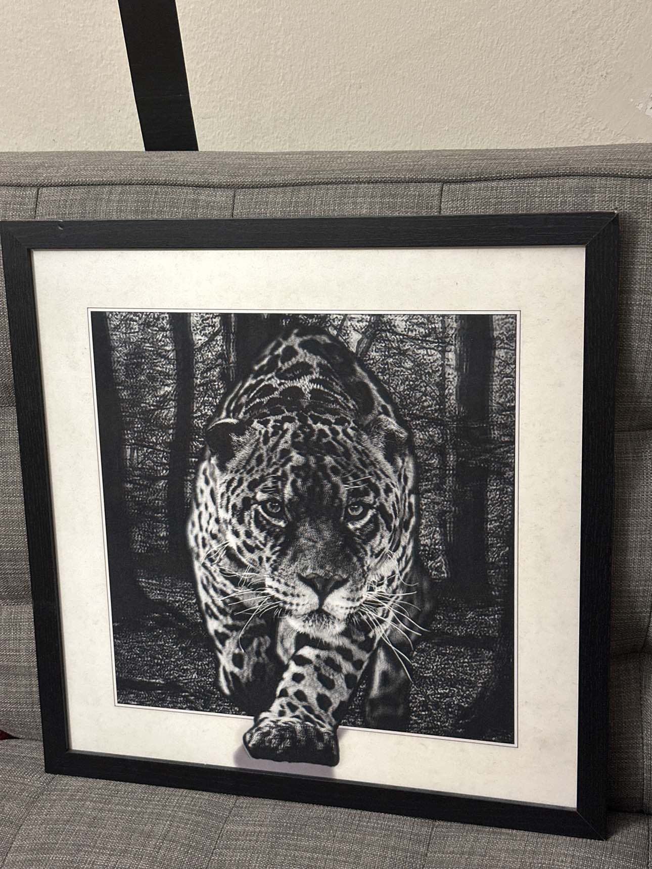 Photo frame.. 3d reflection animal picture.. - photo 2