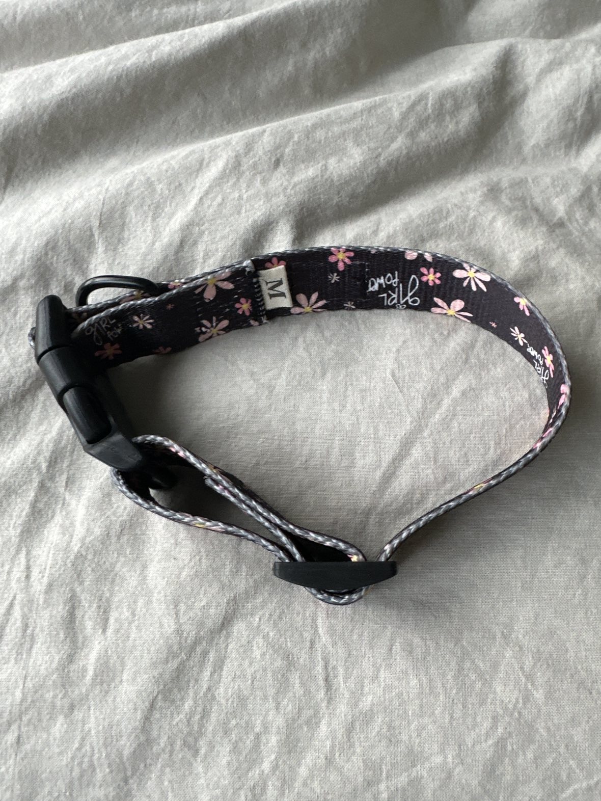 New Dog Collar thumbnail