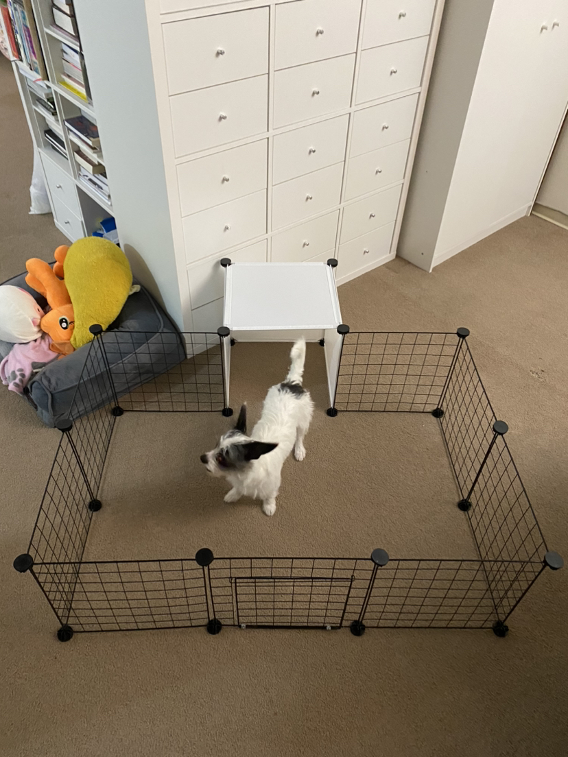Play Pen for Small Animals (Like New, Price Negotiable) - photo 2