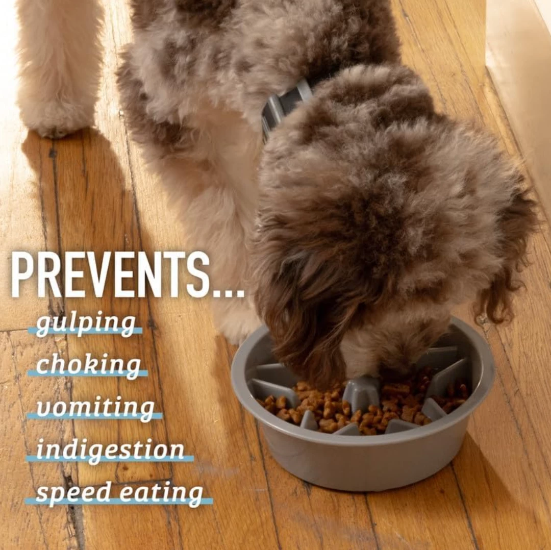 NEW!  Slow Feeding Pet Bowl image indicator(2)