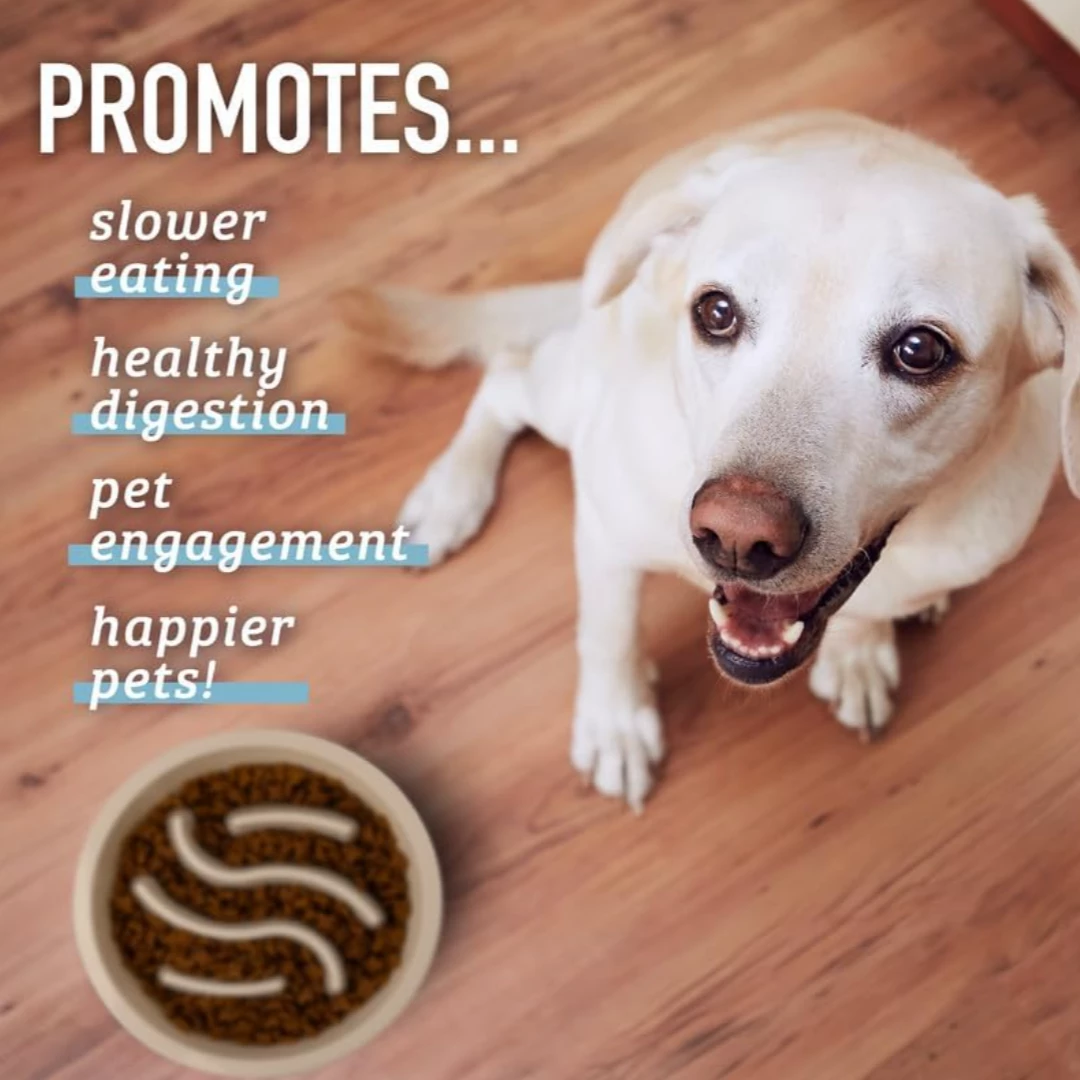 NEW!  Slow Feeding Pet Bowl image indicator(3)