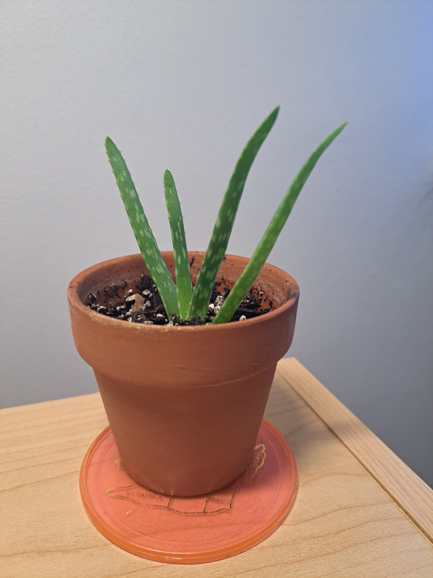 aloe image indicator(3)