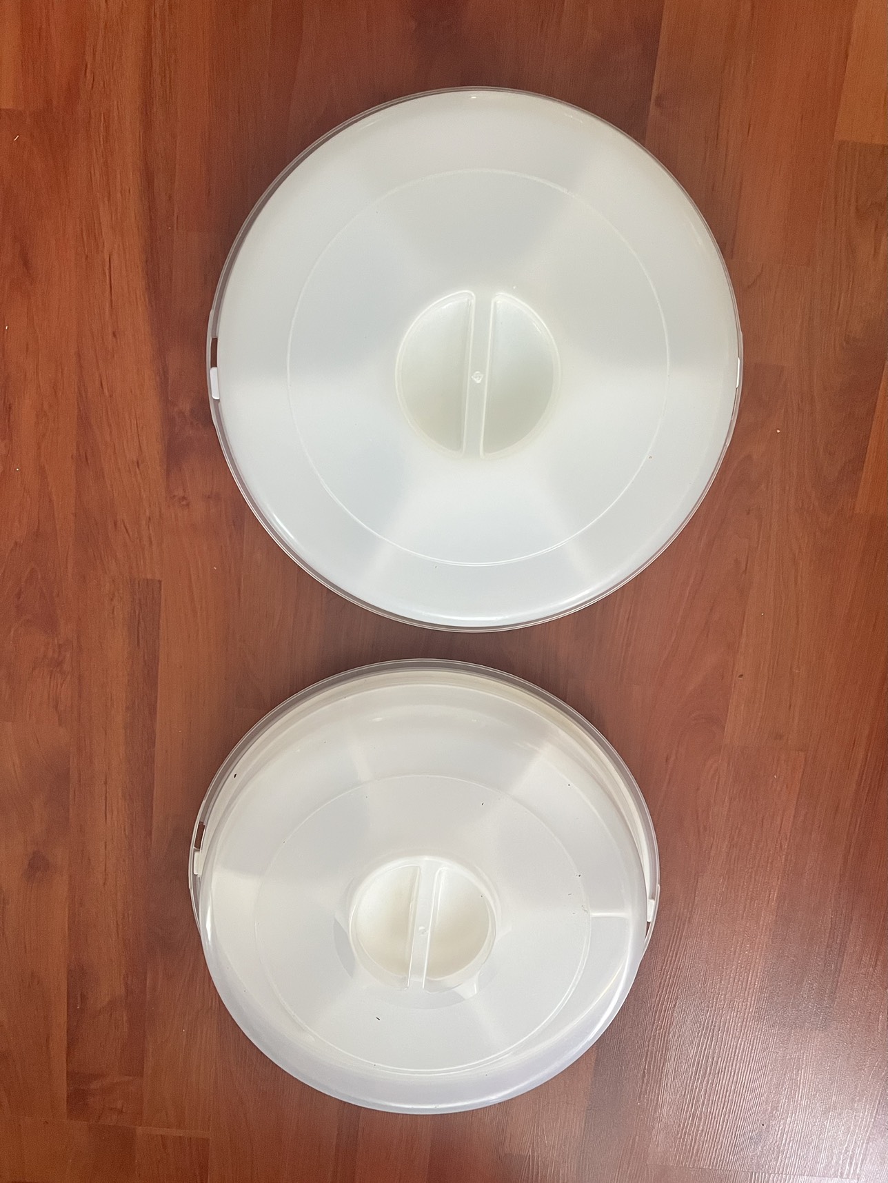 Fruit or Vegetable Platter with Lid for $20 each - photo 2