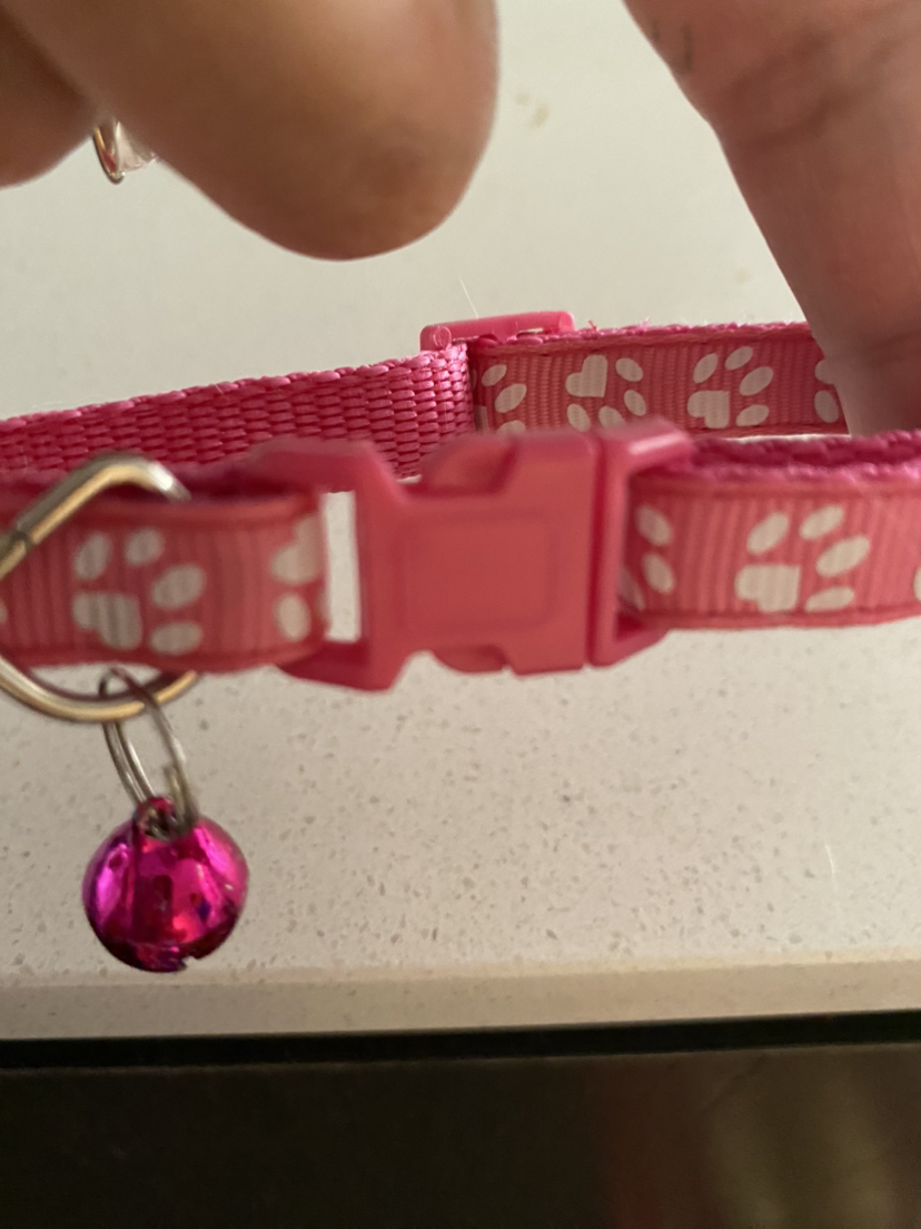 # free cycle image indicator(3)