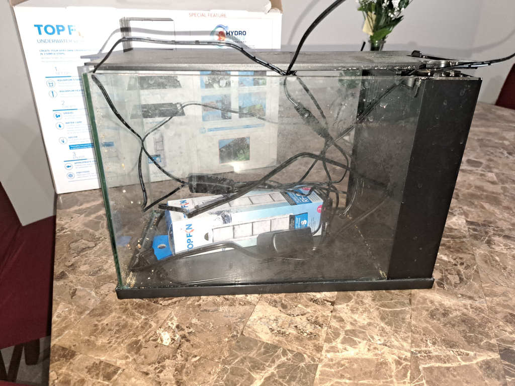 Fish Aquarium - photo 2