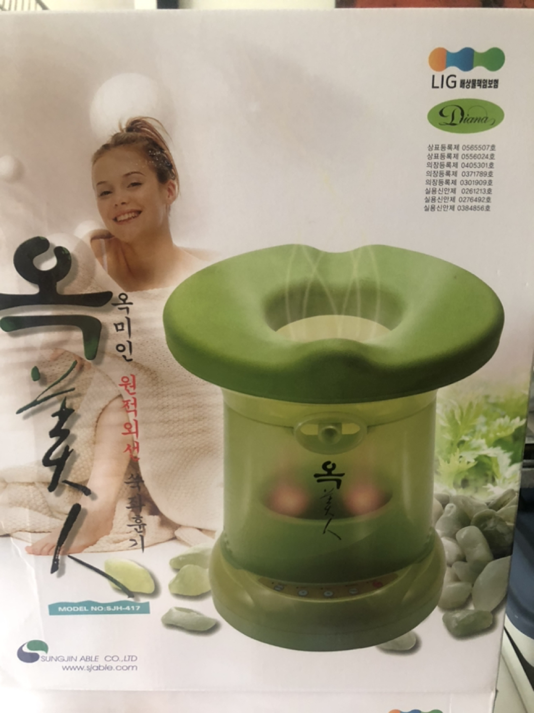Face & Body Steamer