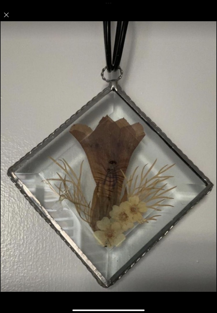 ⭐️ 5 Beautiful Delicate Vintage Pressed Flower Sun Catchers - photo 4