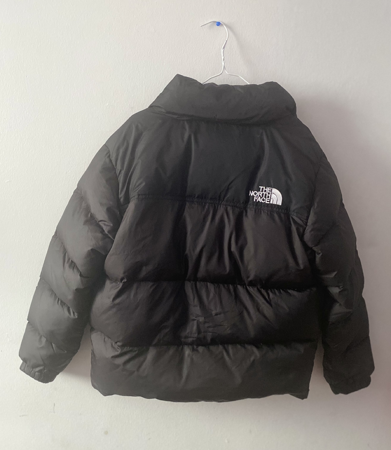 The North Face 700 Winter Puffer Jacket