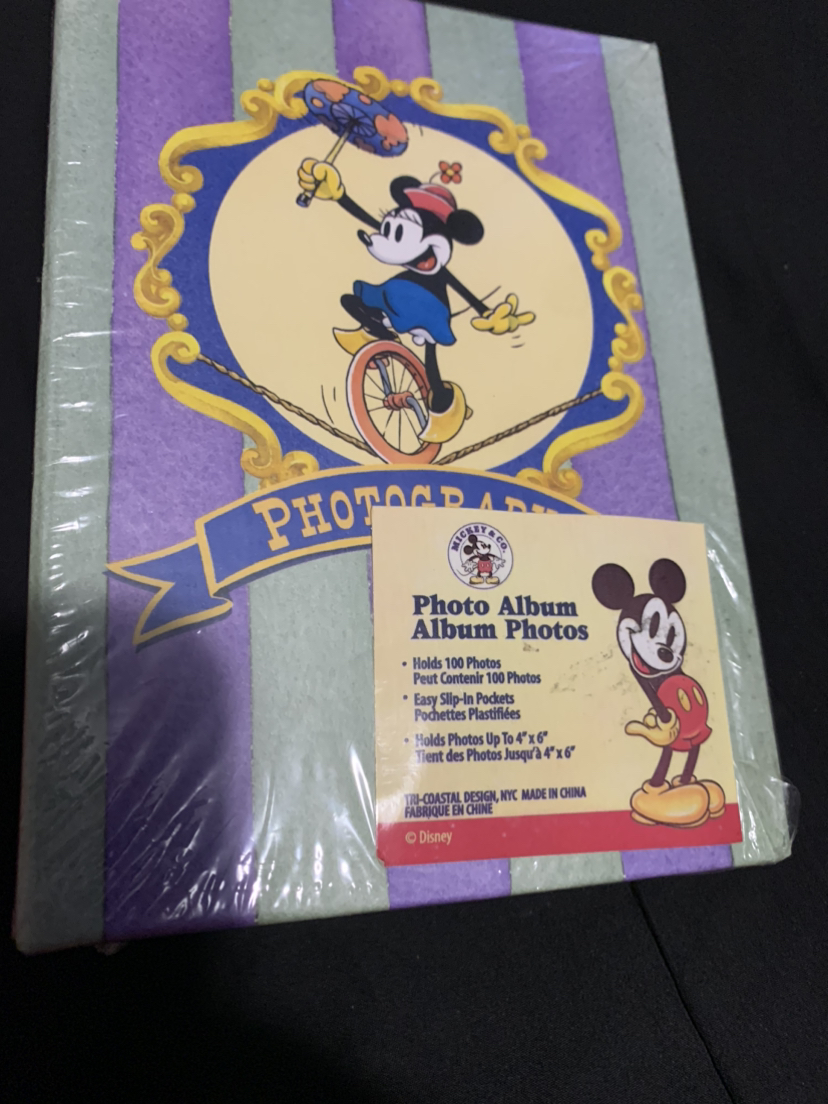 $10 small Minnie Mouse photo album