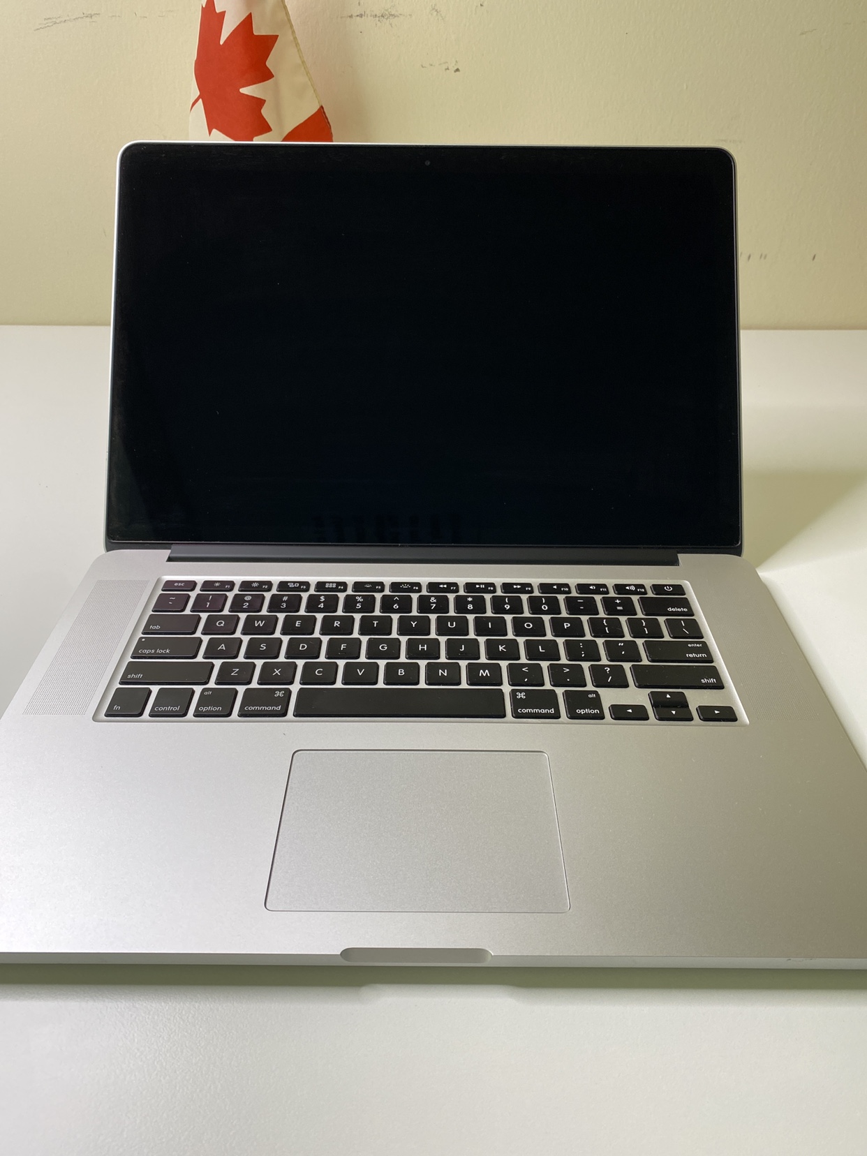 MacBook Pro 16GB RAM, 250 SSD (Retina, 15.4-inch, Mid 2015) - photo 3