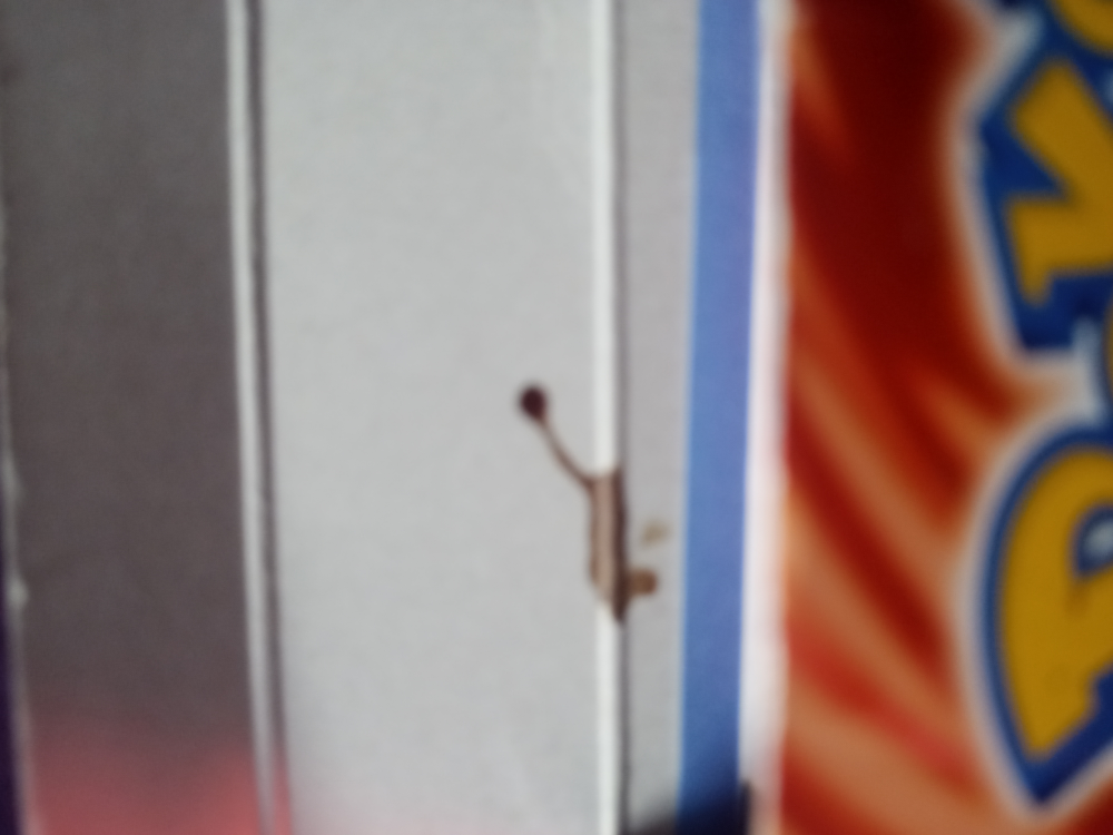 Pokemon FireRed - Almost CIB! image indicator(6)